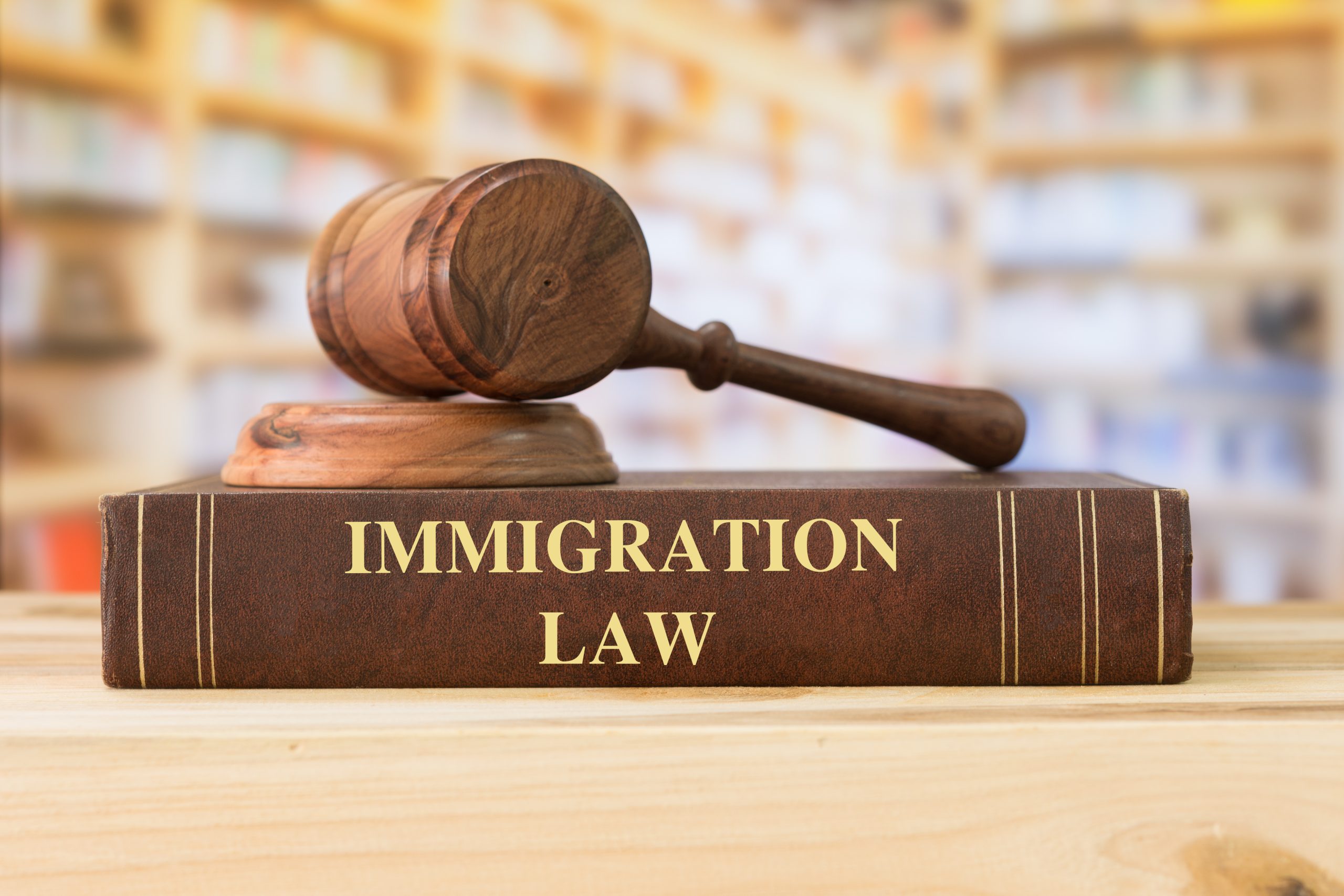 Immigration Law Book